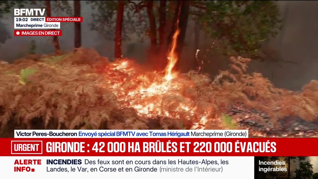 Incendie: après plusieurs jours, le feu ne se calme pas en Gironde