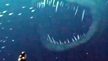 Underwater world view || viral video || underwater