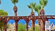 Wakacje w Sheraton Sharm Resort, Egipt