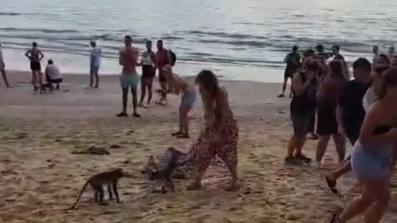 Shocking Monkey Encounter Leaves Woman in Awkward Predicament