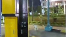 Where Are You Dude. . .😸😸😸
