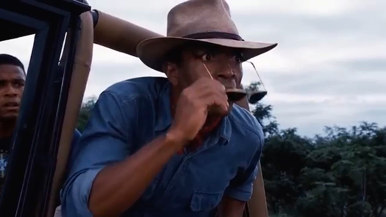 Haaland reacts to his memes