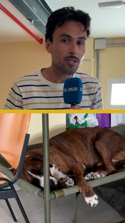 Los desalojados con mascota en Villamanta: "Lo primero que hice fue coger a mi perro"