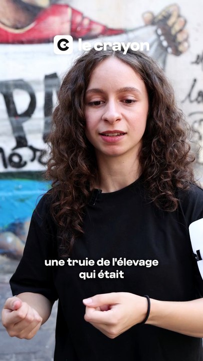 « Il n’y a rien à défendre dans cette horreur » | LE CRAYON