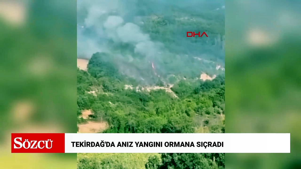 Tekirdağ'da anız yangını ormana sıçradı, 3 saatte kontrol altına alındı