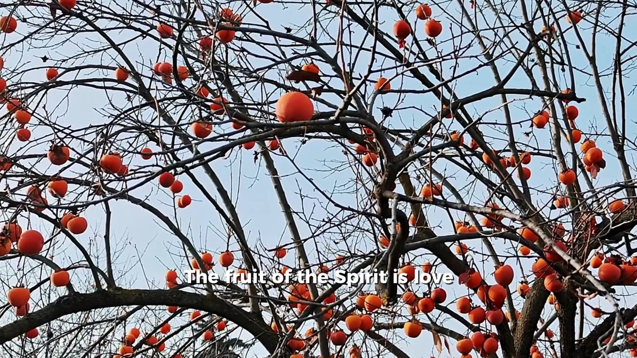 Fruits of the Spirit (Official Lyric Video) | Most High — Worship from Galatians 5