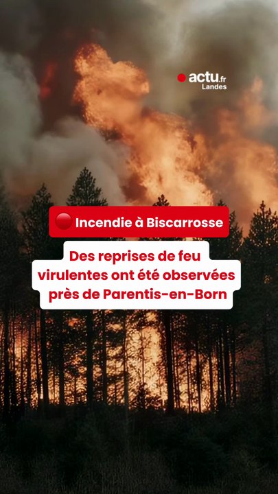 Incendie à Biscarrosse : dimanche 26 juillet soir