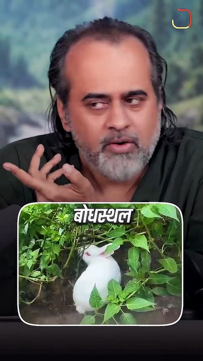 नहाएँ या नहीं? || आचार्य प्रशांत