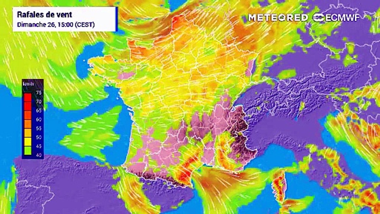 Mistral et tramontane : fort risque d'incendie ce lundi