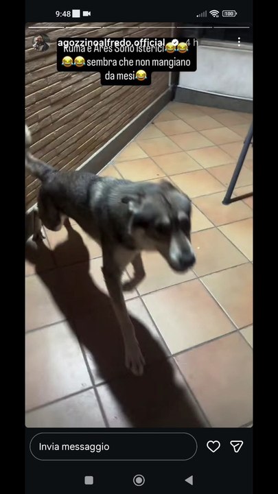 Agozzino Alfredo story con i suoi amici