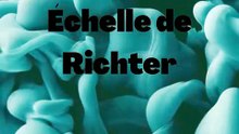 Échelle de Richter