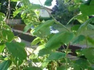 Figthing Spirit 02 08juillet08