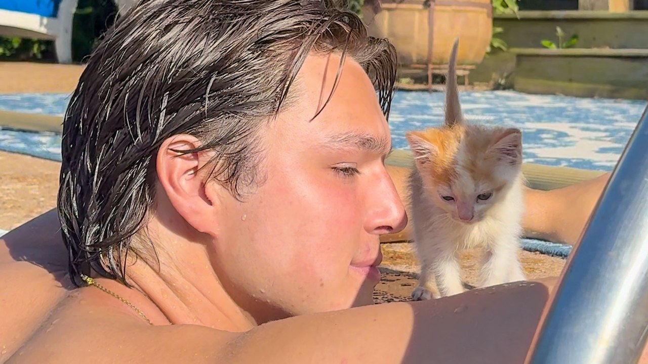Couple Rents An Airbnb And Goes Home With A Kitten