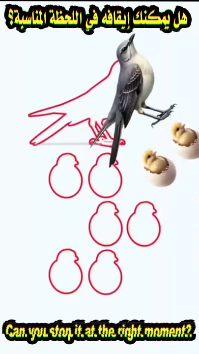 هل يمكنك إيقافه في اللحظة المناسبة؟