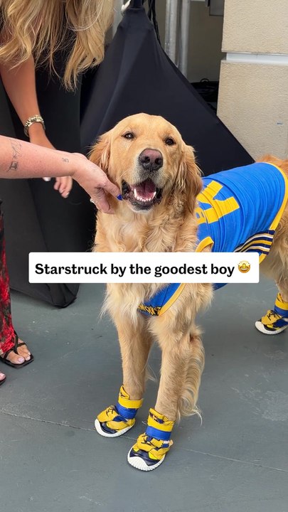 'Air Bud' Star Makes Special Appearance at Comic-Con
