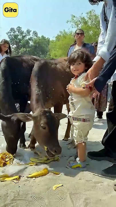 Come to Rishikesh! || Acharya Prashant
