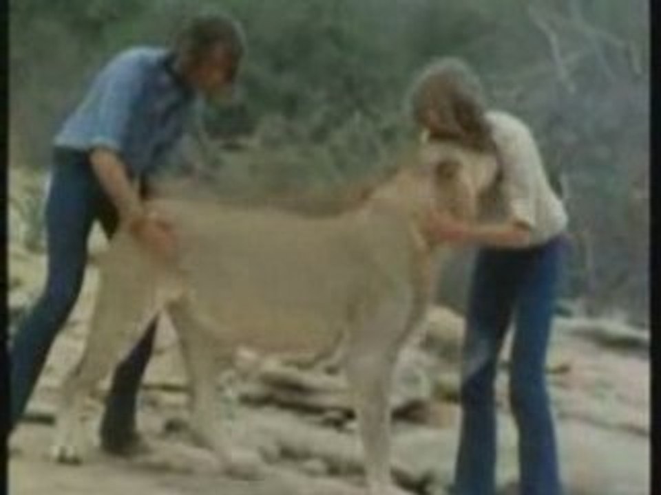 Christian, le lion !