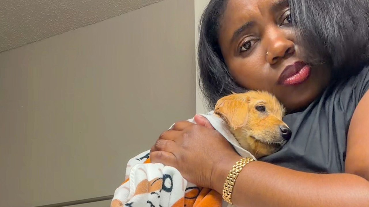 Woman Finds Abandoned Puppy While Walking Her Dog