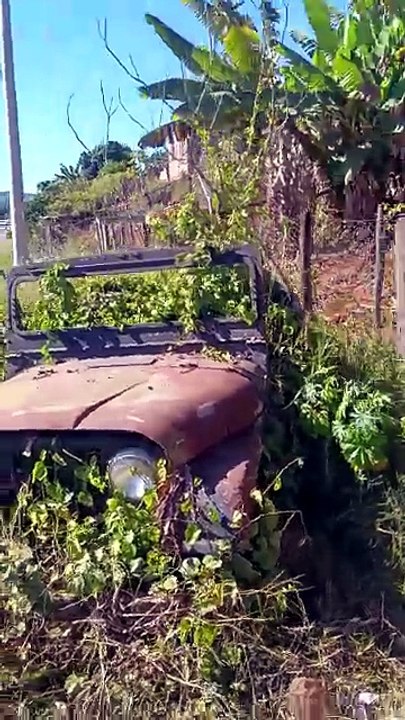 JEEP WILLIS ABANDONADO NA BEIRA DA RODOVIA