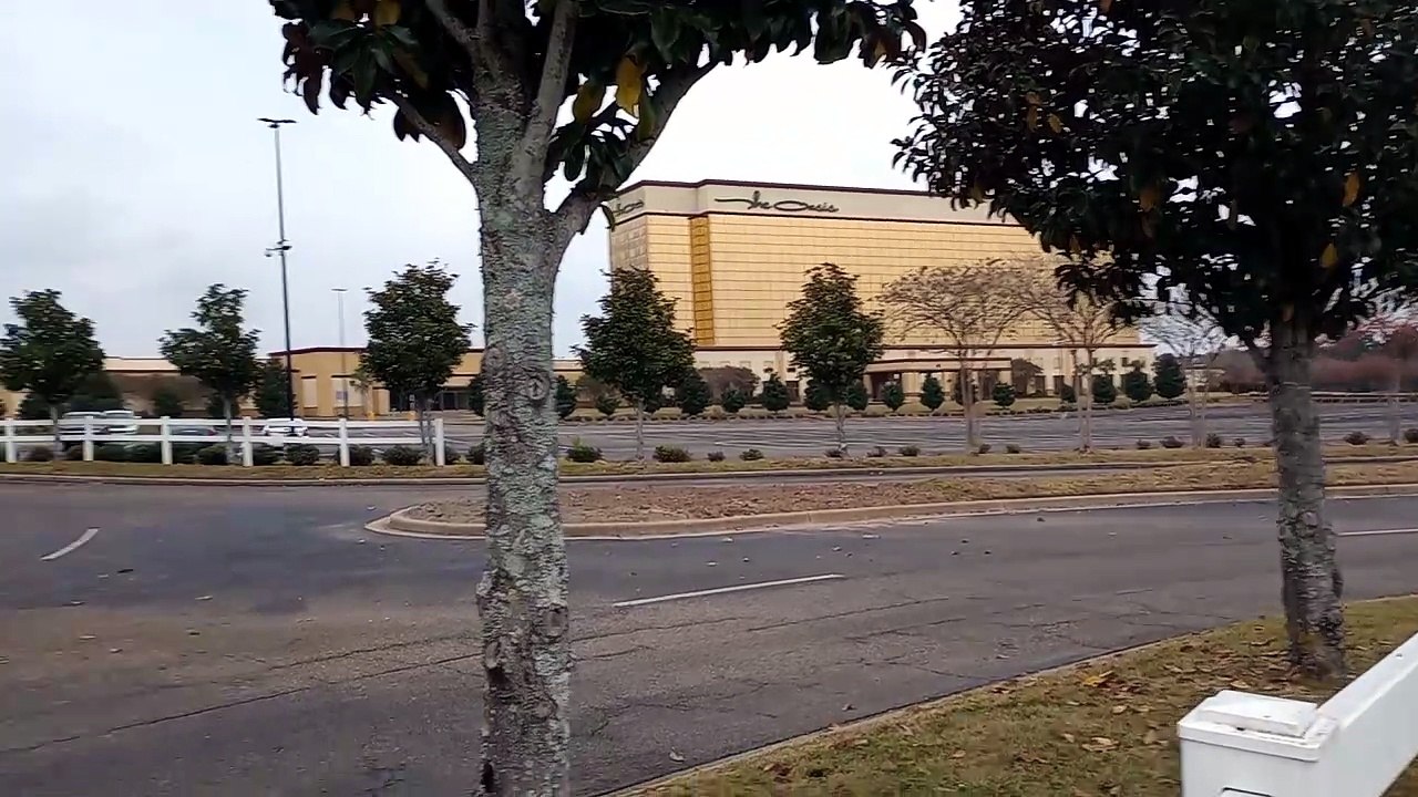 VID_20231110_123834430