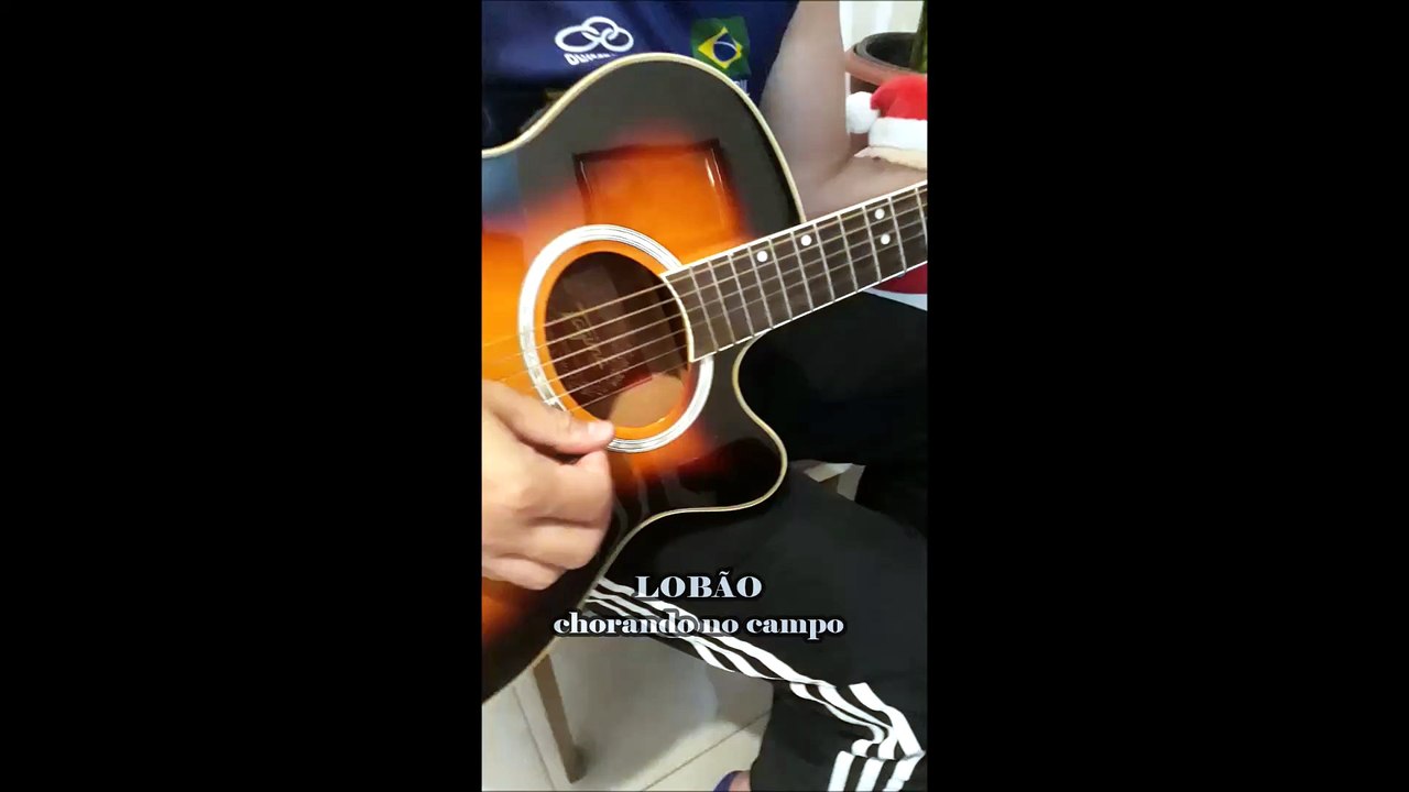 Lobão - Chorando no Campo