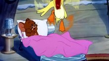 Tom And Jerry - 047 - Little Quacker (1950)