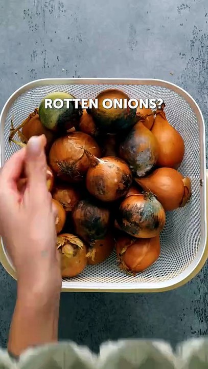 Easy ways to keep food fresh for longer!