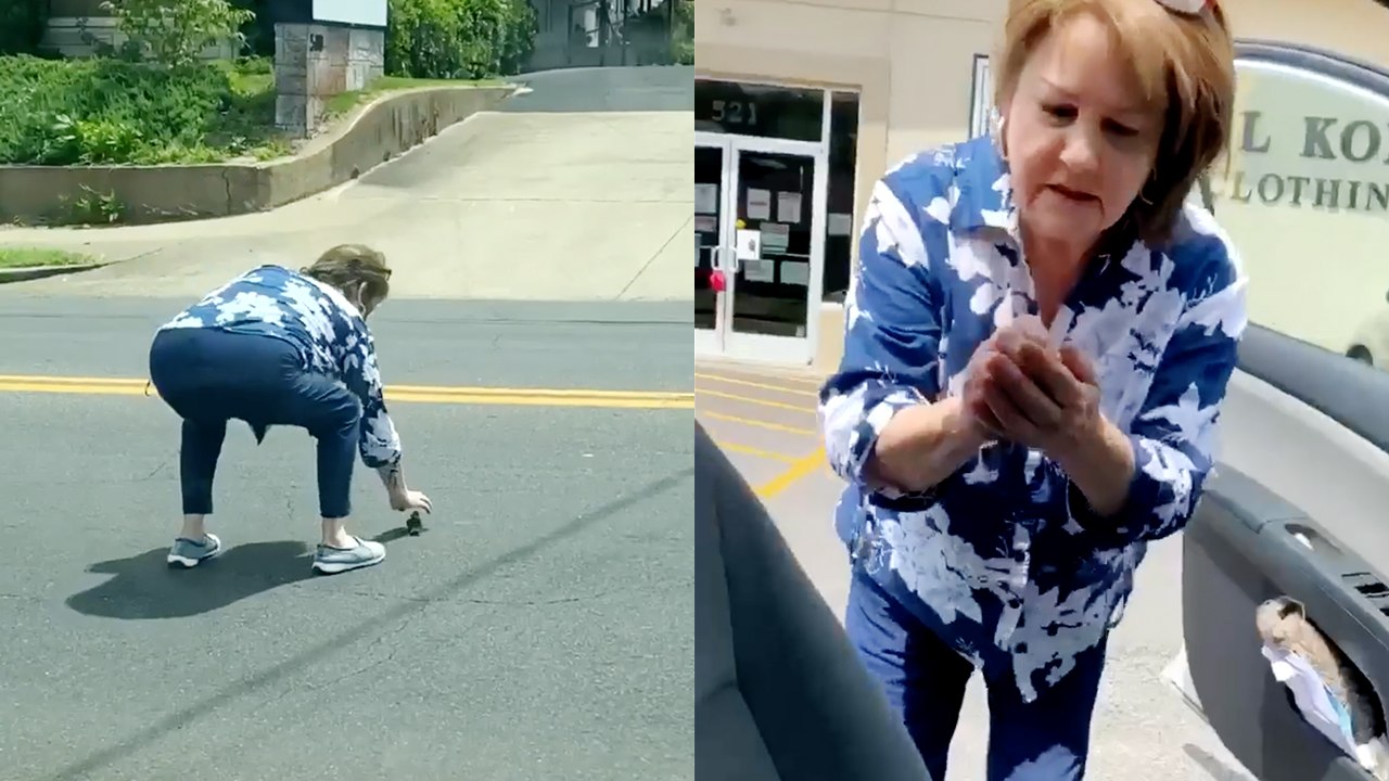 Incredible Grandmother Bravely Dashes into Traffic to Rescue Baby Bird