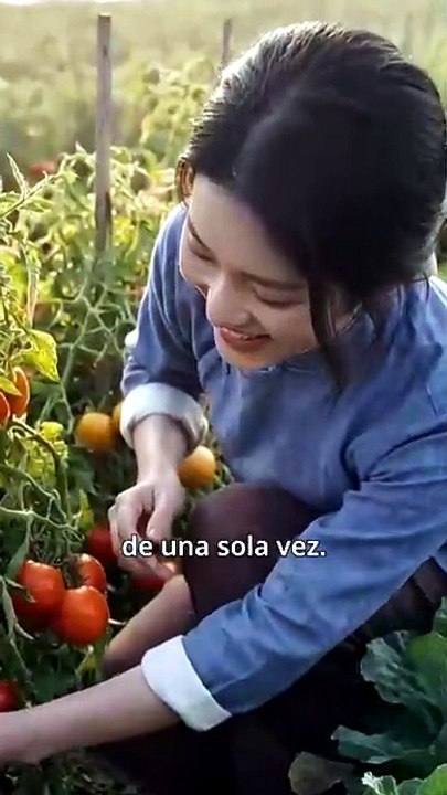 Doblado]Renacer bajo la lluvia ácida [Full Movie]
