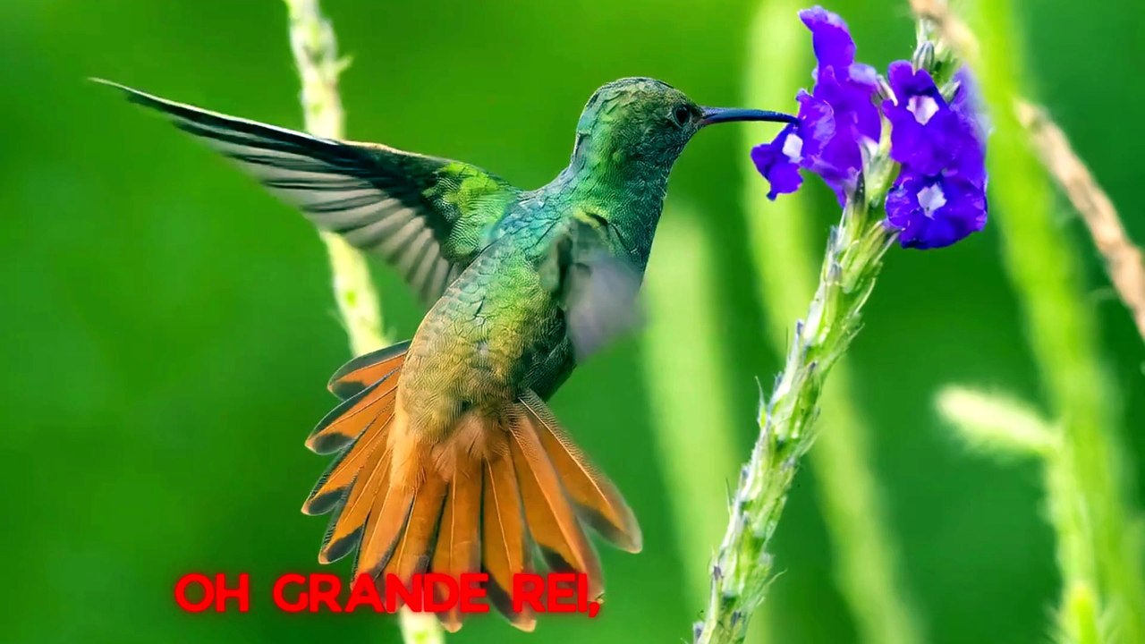 Deus Criador