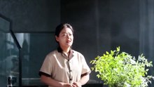 The One She Can't Quit Chinese Drama #GS丨New Movie ✅