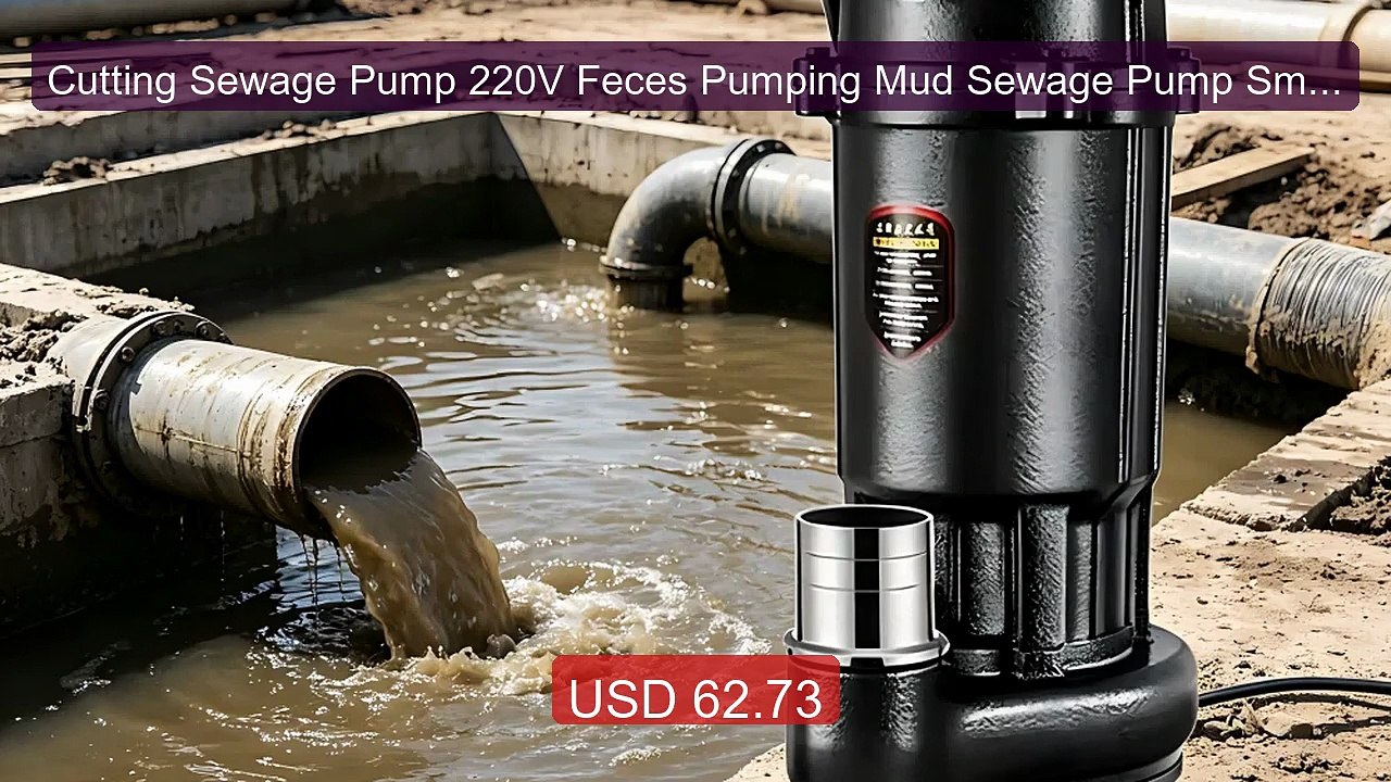 Cutting Sewage Pump 220V Feces Pumping Mud Sewage Pump Small Househ... -- Top Rated 2026 | Buy Now!