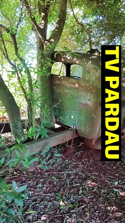 CAMINHÃO ABANDONADO, NASCEU ÁRVORE NO CHASSI