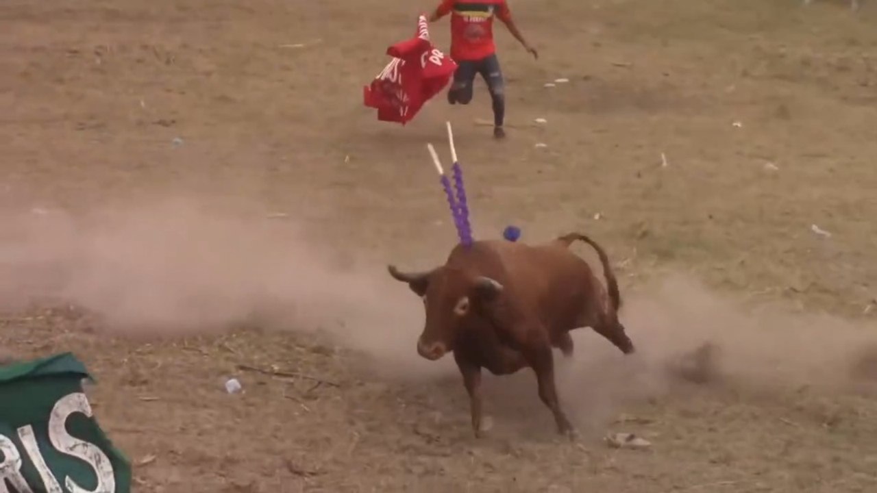 Corralejas Santa Ana 2026 | Toros de Álvaro Oliver