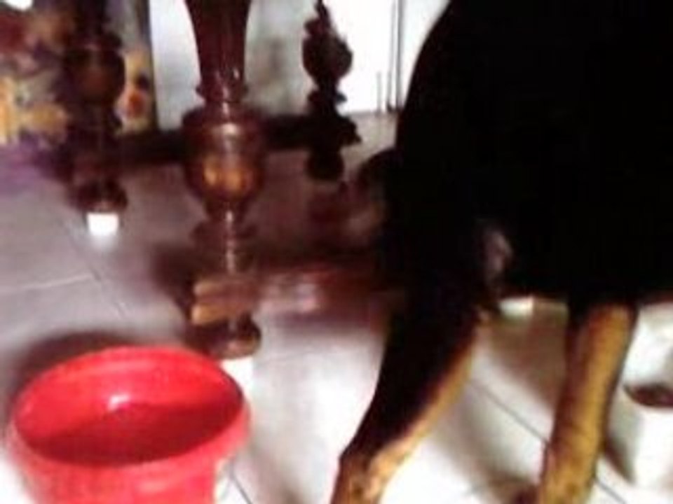 Vidéo-0001