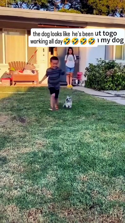 🤣🤣🤣Funny German Shepherd dog🐕🐕🐕🐕 #cute🐾🐾🐾#funny🤣🤣#reels#viralvideo#folow me please