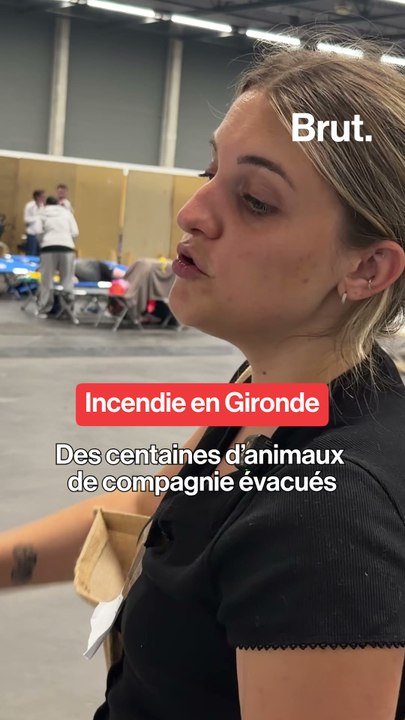 Incendie en Gironde : des centaines d'animaux de compagnie évacués