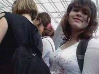 Un An de Délires avec Les Groc