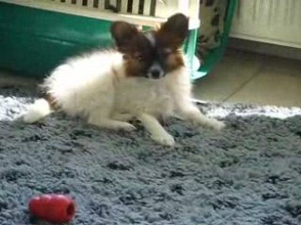 Dolly aime Julien Doré