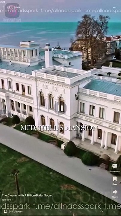 The Cleaner With A Billion-Dollar Secret