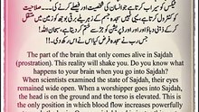 *سجدہ: دماغ اور روح کے لیے اللہ کی عظیم نعمت | Sajdah: Allah's Greatest Blessing for the Brain and Soul | Benefits Of Sajdah | Religion Of Islam Channel*