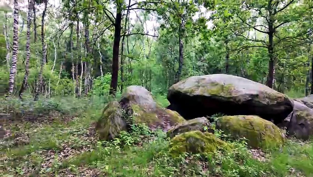 Die Alhorner Kellersteine