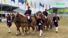 Le centenaire de la Foire de Libramont met à l'honneur le cheval ardennais