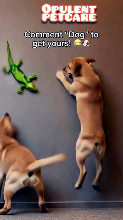 RC Climbing Wall Lizard Toy – Light-Up Eyes, Climbs Walls