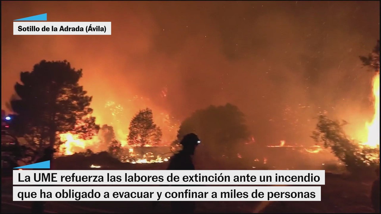 Así han sido las misiones de extinción de la UME durante la última noche