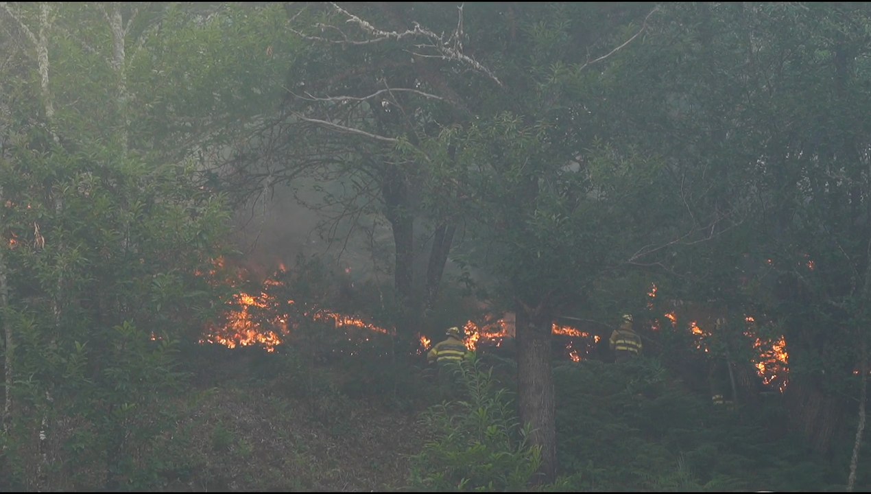El fuego en Quintela