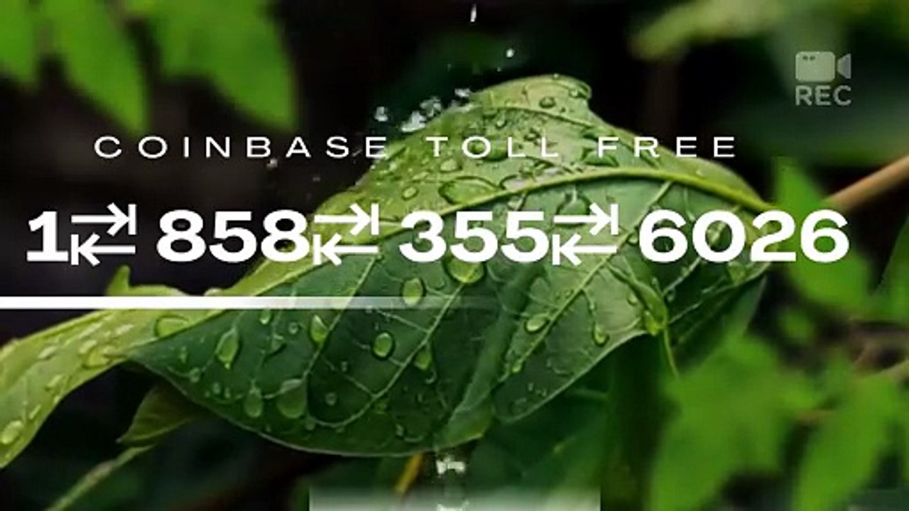 How good is Coinbase Support