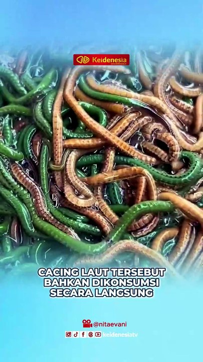 Bau Nyale, Tradisi Menangkap Cacing Laut Suku Sasak di Lombok