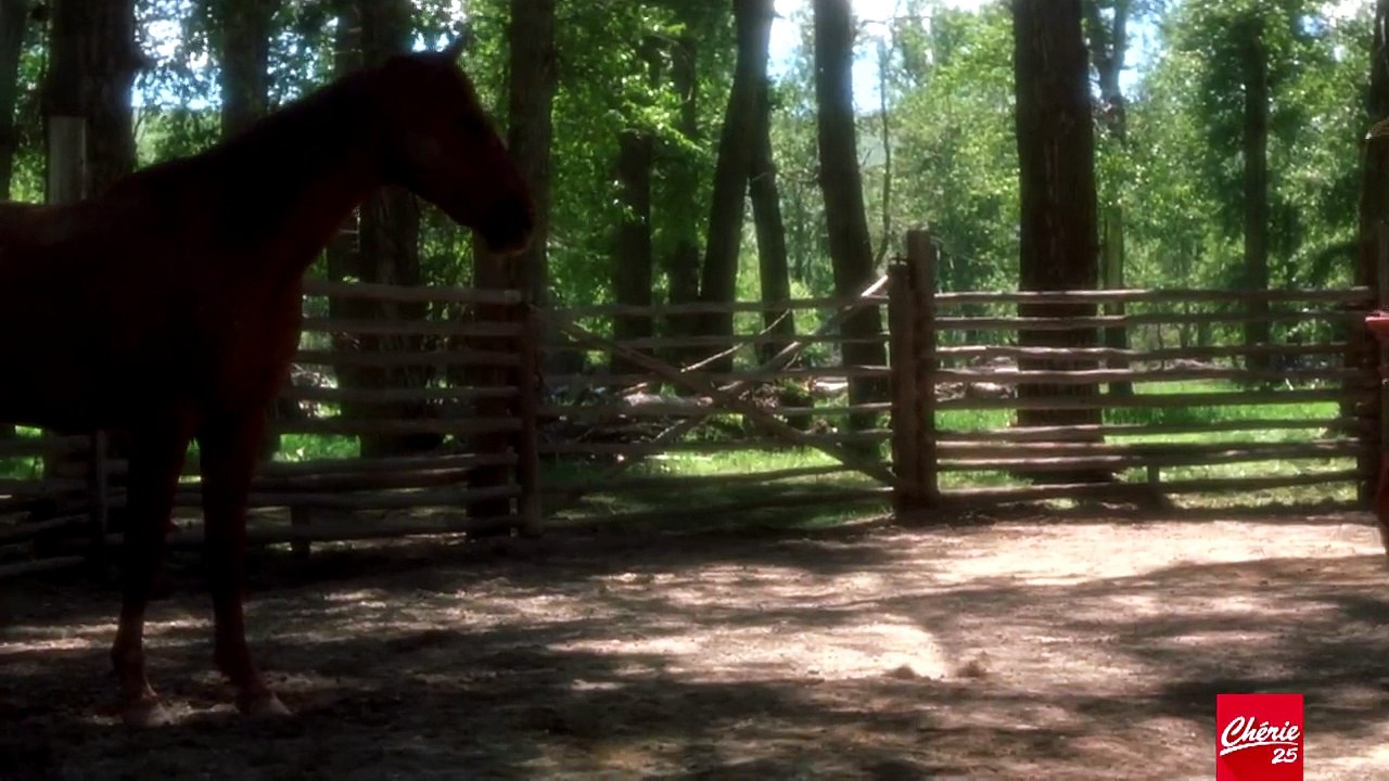 L'homme qui murmurait à l'oreille des chevaux