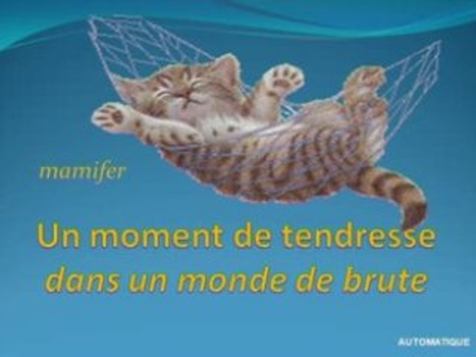 La tendresse-0